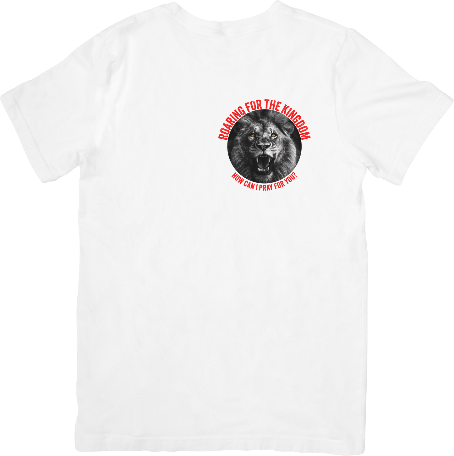 BigDawg4Christ T shirt